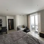 Apartament Plne Vybaveny Krasny 1kk S Balkonem, Vyhledem *