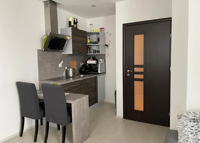 Plne Vybaveny Krasny 1kk S Balkonem, Vyhledem 公寓